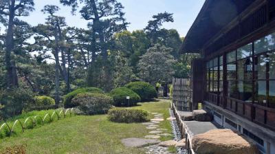 ・東海道五十三次(2025年版)・ 大磯宿　４月２１日（月）