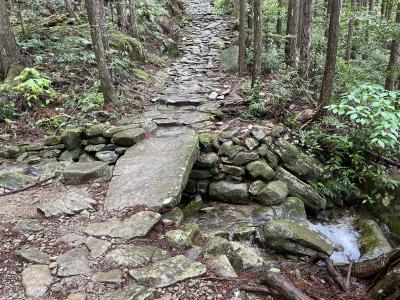 2025年05月　熊野古道ハイキング　伊勢路５　馬越峠道