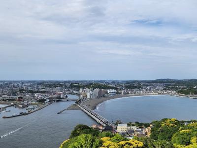 江の島に行くよと言ったらサザンの所?と主人…