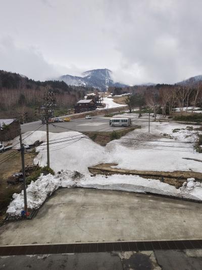 たびたびのたび　旅行会社企画ミステリーバスツアーに参加してみました