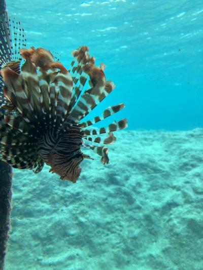 はじめてのシギラ　アラマンダ　インギャーコーラルビレッジ