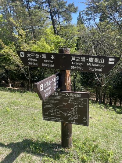 箱根湯坂路(鎌倉古道)を歩く