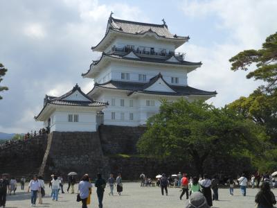 2025年小田急線でいく小田原日帰り旅