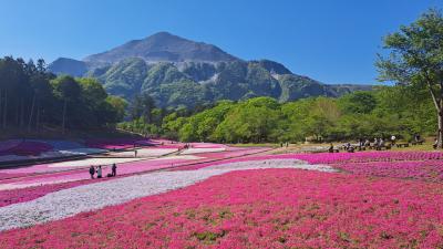 羊山公園から美の山公園