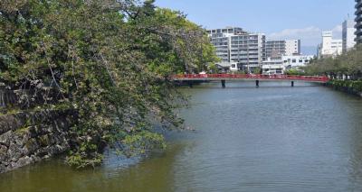 ・・東海道五十三次(2025年版)・・５日目　小田原宿　４月２１日（月）