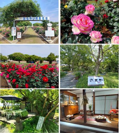 おもやい市民花壇でボランティアの皆さんが丹精込めたバラを鑑賞、そして、カフェむさしのにてランチ
