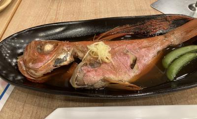 御殿場線の桜吹雪①熱海に金目鯛を食べに行く