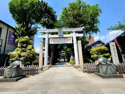 シニアトラベラー！中華ランチと亀有香取神社満喫の旅