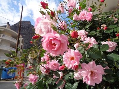 6年ぶりの欧州はギリシャ 5(アテネ~カランバカ)