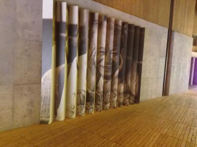 2025高知 1:牧野植物園