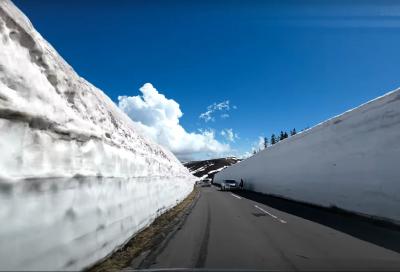 雪の回廊（志賀草津ライン）2025年