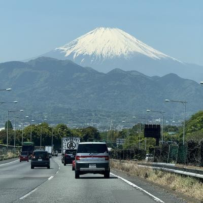 沼津の遊覧船は例のえびせん案件、熱海の干物が美味すぎる