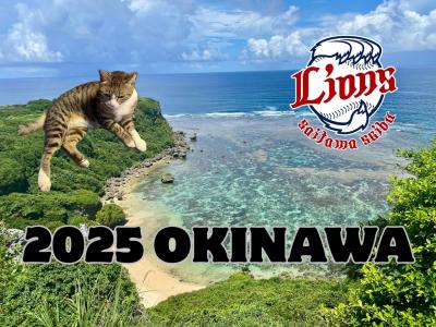 獅子党の沖縄遠征\\٩( 'ω' )و //