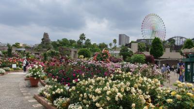 382 たくさんの訪問客で賑わうひらパー、うれしい限り