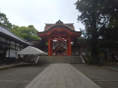 旅行体験記2025~八幡~京都七番目の都市、久しぶりの土曜休みで京都の新たな魅力再発見!