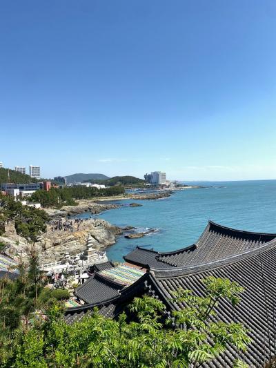 13年ぶりの釜山　アラフィフ夫婦２人旅③