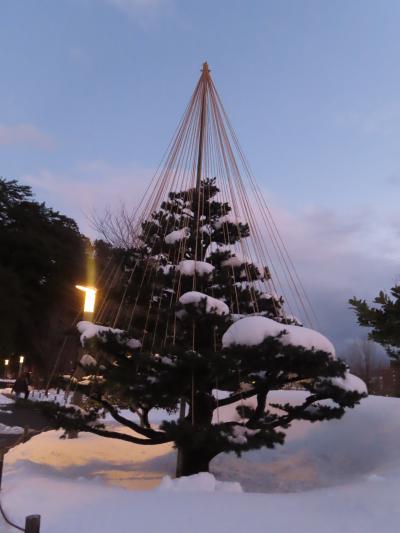 2025年日本の冬巡り (4) 大雪の古都金沢 蟹・兼六園・加賀割烹