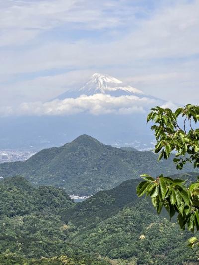 2025/05  GWは伊豆長岡温泉「吉春」