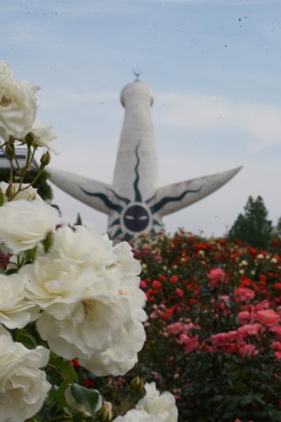 20250515-3 吹田 世の中は万博の話題で賑わう。んじゃ私もってんで…先の万博の方でも。太陽の塔登ったり、庭園歩いたり。