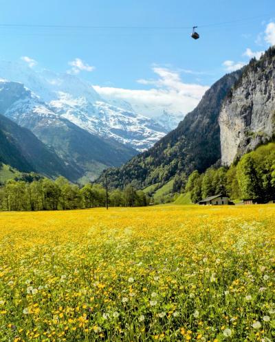 スイスあちこちハイキング41.　花盛りのラウターブルンネン谷を歩く