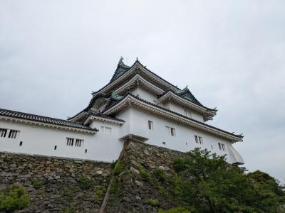 和歌山観光　和歌山城編　市内観光で良く登りました（笑）