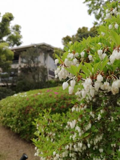 神戸ひとり散歩　2025 4月15日