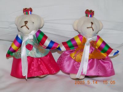 2025年　令和7年5月　韓国（ソウル）で歩け歩け