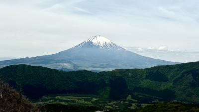 箱根２０２５春　ガイドツアーで楽しむ 箱根湿生花園＆大涌谷