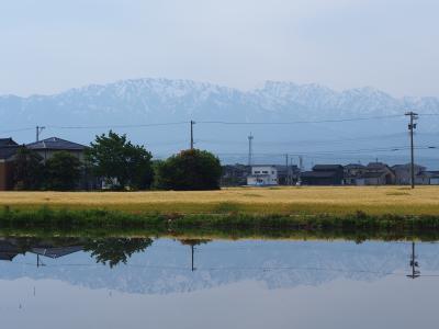 富山 立山旅 これにて完結。 最後はソロtabi 雪の室堂山荘に1泊チャレンジ ~ 生地編 ~
