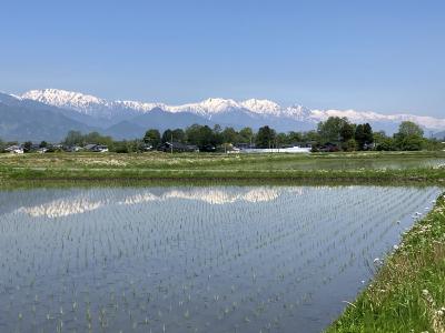 2025春・信州ドライブ旅行2　　安曇野