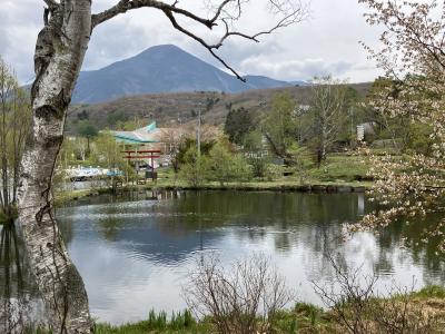 2025春・信州ドライブ旅行3　　蓼科高原