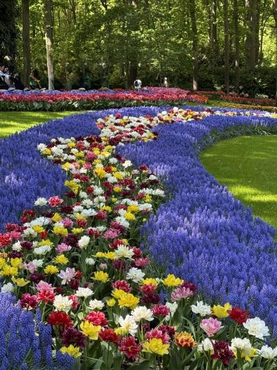 ゴールデンウィークは、オランダ、ドイツへ①出発からキューケンホフ公園、そしてアムステルダムへ。