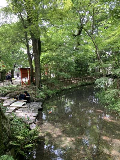 新緑の下鴨神社　京都御所へ