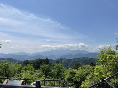 大人の遠足　高尾山にのぼってみました。(リフトケーブルカー使用)