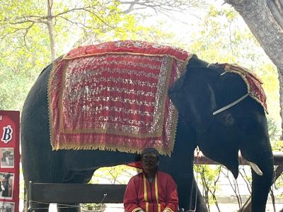 娘と行く初めてのタイ!バンコク5日間☆2日目