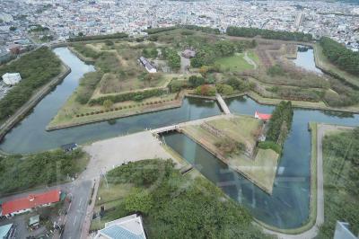 台北発券ANA特典航空券を利用再開して函館に行こう♪2024年10月