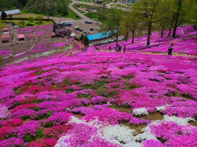 2025年5月 1泊2日で道東に行ってきた③【ひがしもこと芝桜公園・道の駅ぐるっとパノラマ美幌峠など】