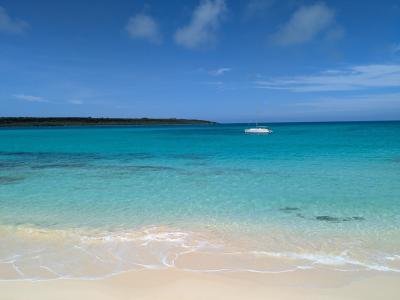2025年5月猫のいる宿に泊まる宮古島1泊2日