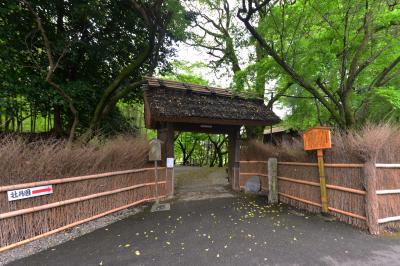 史跡 赤坂お茶屋屋敷跡　ボタン園
