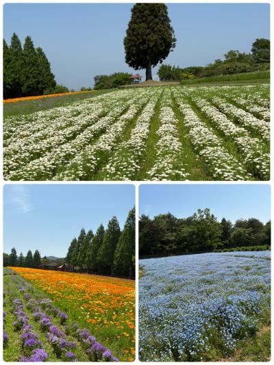 メナード青山リゾートにてハーブガーデン鑑賞…ひとり旅編！