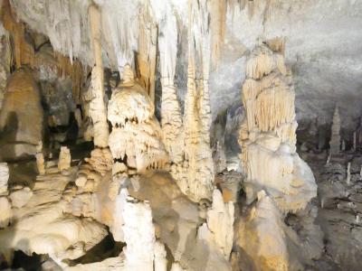 ウィーン発着FlixBusで行くスロベニア・クロアチア(4)ポストイナ鍾乳洞とプレジャマ城