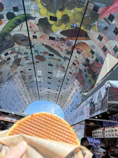 ゴールデンウィークは、オランダ ドイツへ④ロッテルダムの街歩き