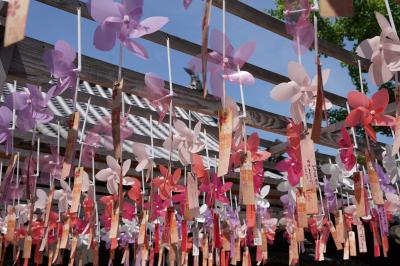 20250522-2 讃岐白鳥 風車クルクルの白鳥神社。と、裏境内地には白鳥の松原に日本一低い？御山とか。