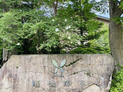 2025年5月 箱根翡翠で温泉2泊3日