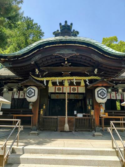 芦屋一人散歩　　2025 5月20日