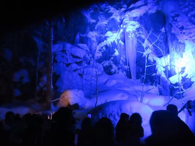 2025年日本の冬巡り (5)冬のおいらせ号と氷瀑ツアー