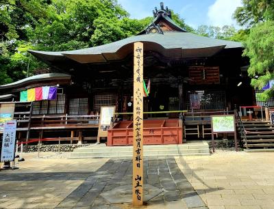 シニアトラベラー！神代植物公園春薔薇と深大寺の元三大師像特別開帳満喫の旅②