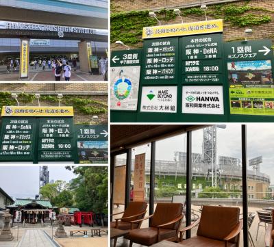 プロ野球2025シーズン Ver.2(5月 阪神vs巨人、DeNA 編)