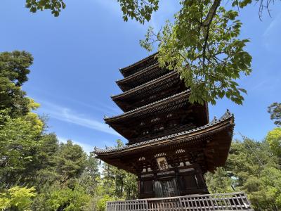 2025GW　京都（三日目）・・京都離宮から仁和寺、北野天満宮へ