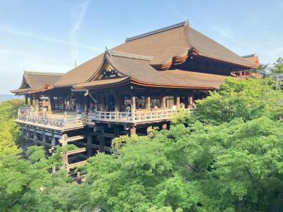 2025.5.23 金 清水寺 八坂の塔 寺町